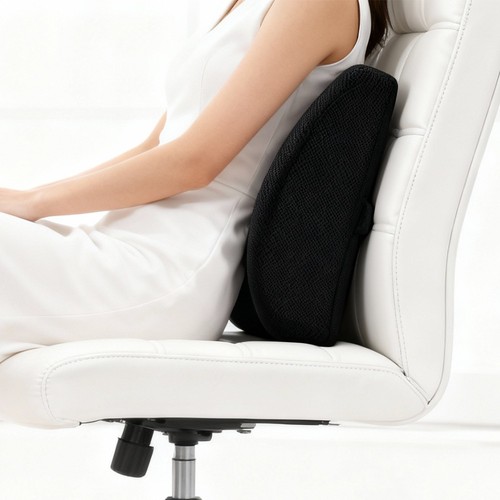 Lumbar back support - lumbar, cushion